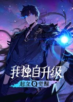 我独自升级:起立·觉醒